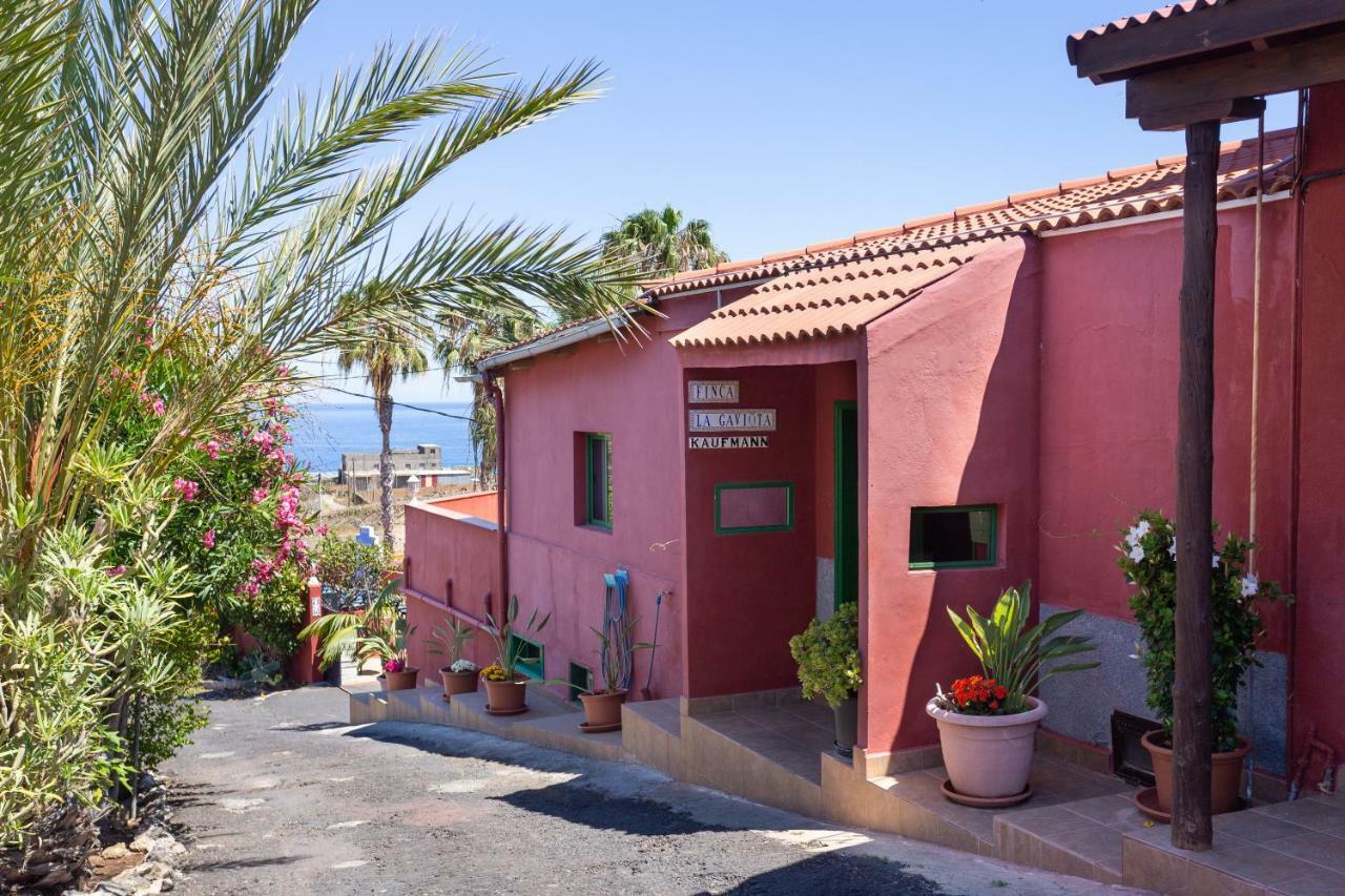 Finca La Gaviota - Maxi Icod De Los Vinos Bagian luar foto